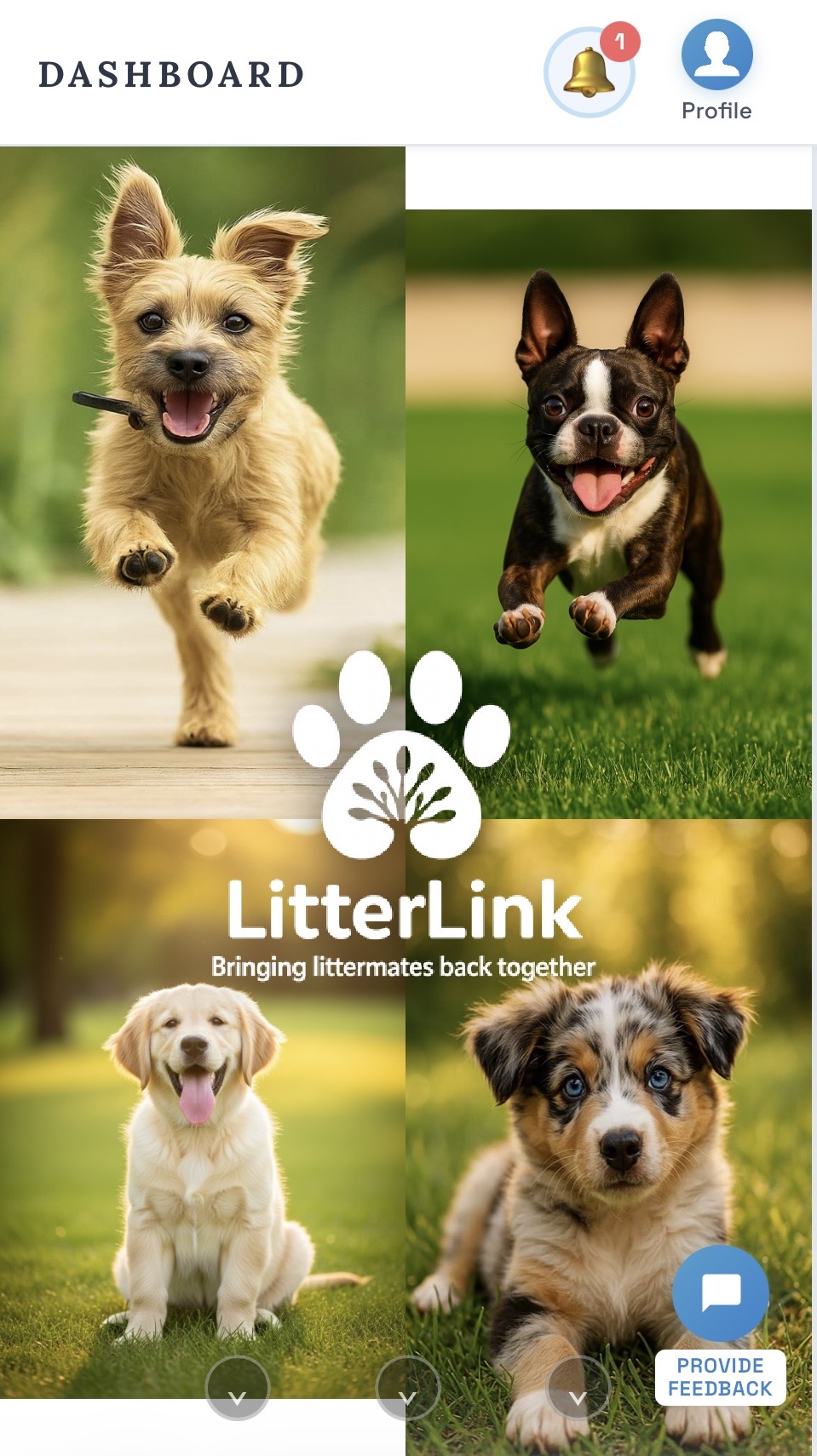 LitterLink dashboard overview